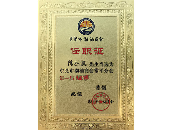 91麻豆产精品久久久久久金属荣誉：潮汕商会理事