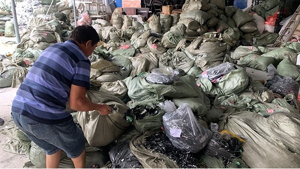 大量回收麻豆国产精品男男